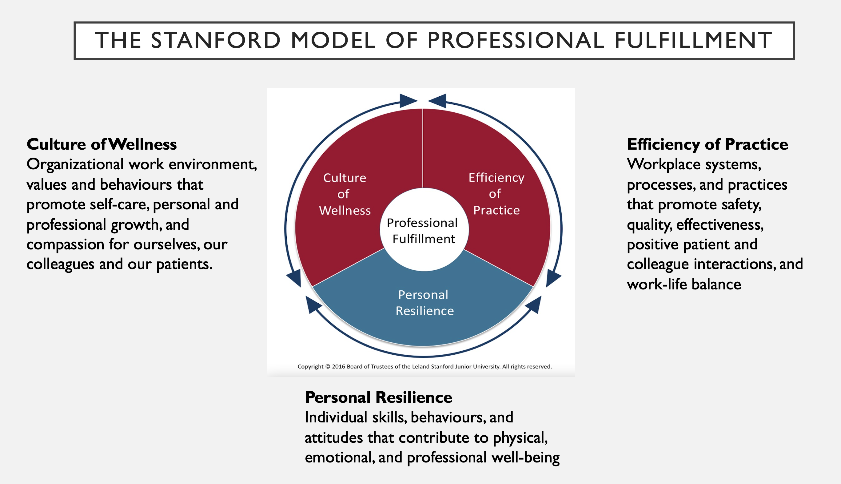 wellness framework