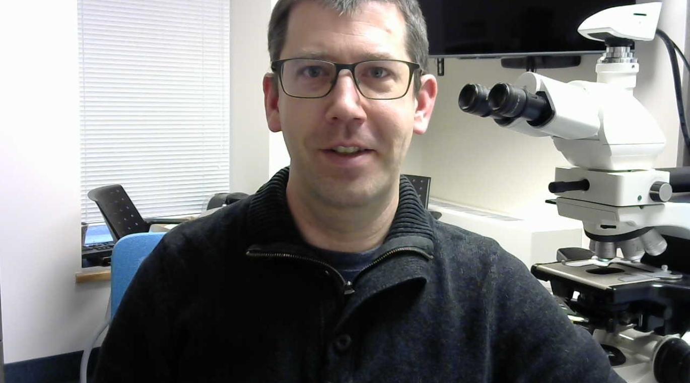 Headshot of Dr. David Good