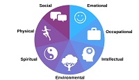 physician wellness wheel